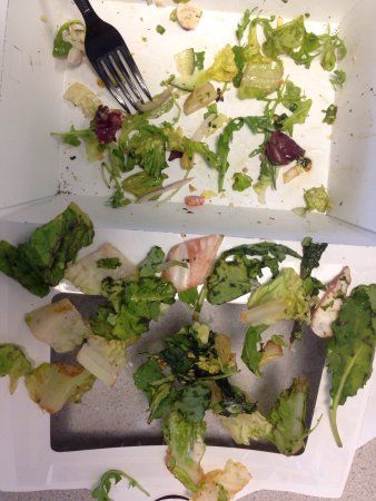 Panera Bread