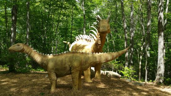The Dinosaur Place at Nature's Art Village