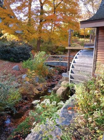 Old Town Mill